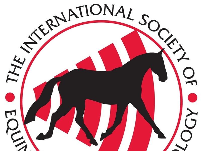 Offizieller ISELP Sponsor