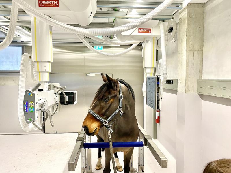 Weltweit erste 3-Teleskop-Röntgenanlage für Radiographie und Fluoroskopie in Zürich